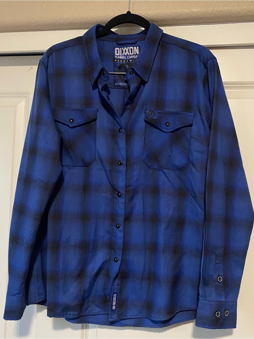 Dixxon Pennywise Flannel Button-Up Shirt in Blue Plaid